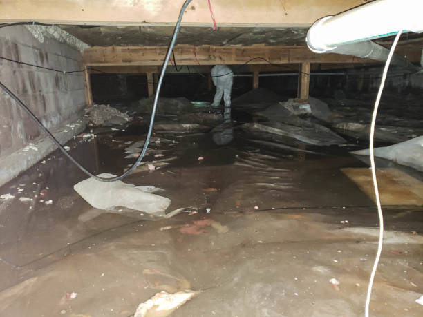 Trusted Water Damage Restoration in Capitol Heights, MD | Fast, Reliable, and Ready to Assist You